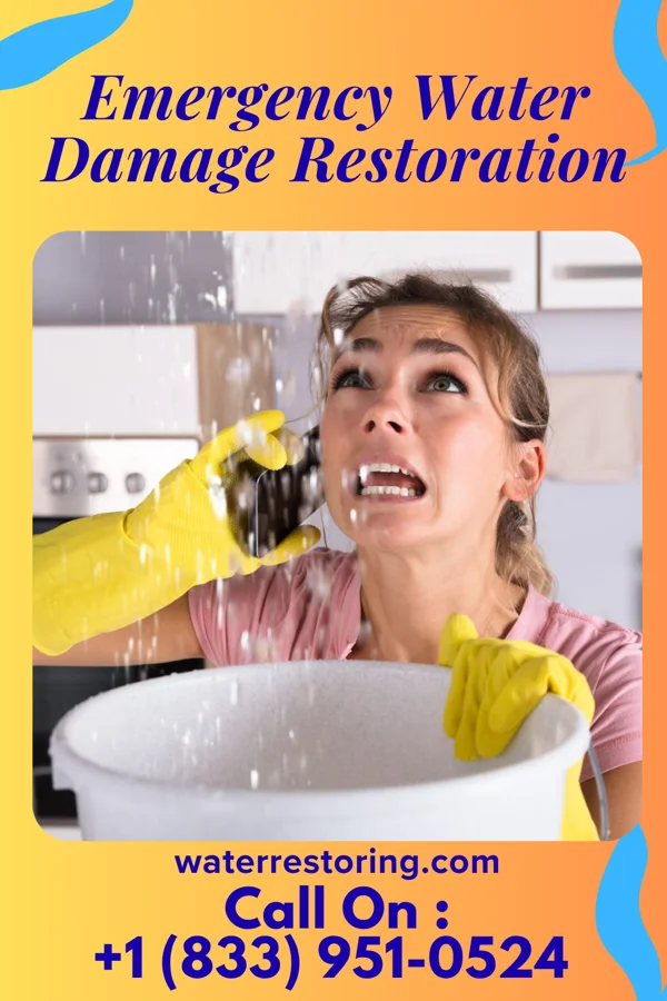 Emergency Water Damage Restoration in Monticello, UT