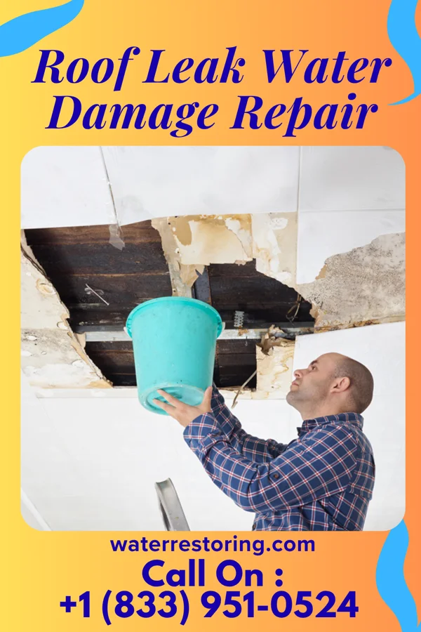 Roof Leak Water Damage Repair in Monticello, UT